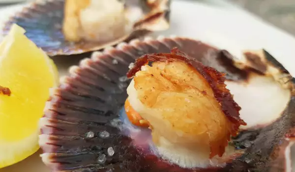 Saint-Jacques Coquilles with Lemon and White Wine