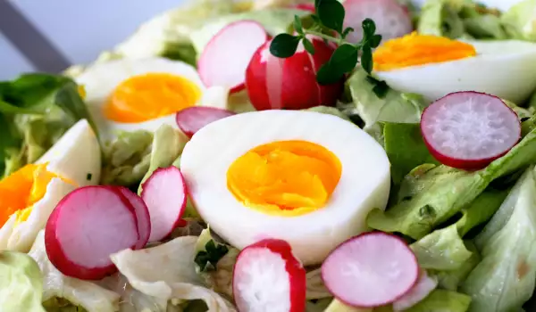 Festive Salad