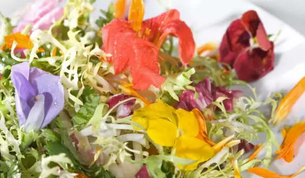 Nasturtium salad