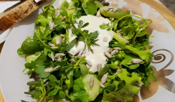 Healthy Purslane Salad with Yogurt Sauce