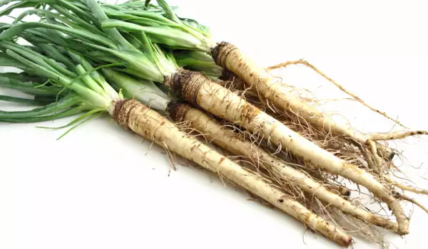 Salsify