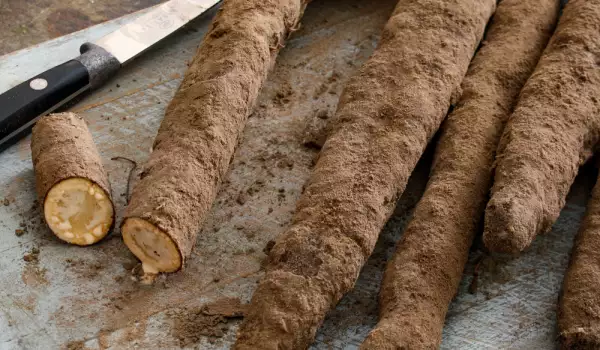 Salsify - The Strange Root, Which Protects Against Osteoporosis