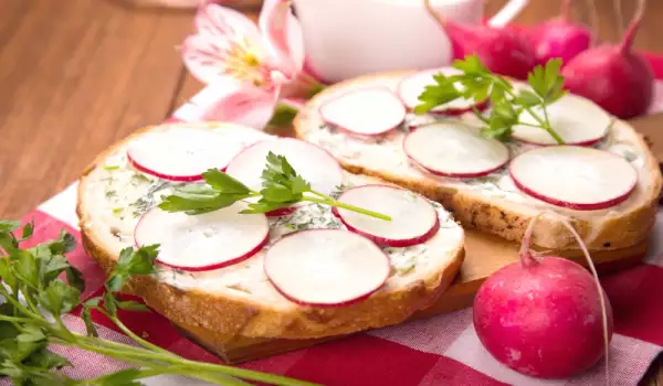Radishes - Tasty and Very Healthy