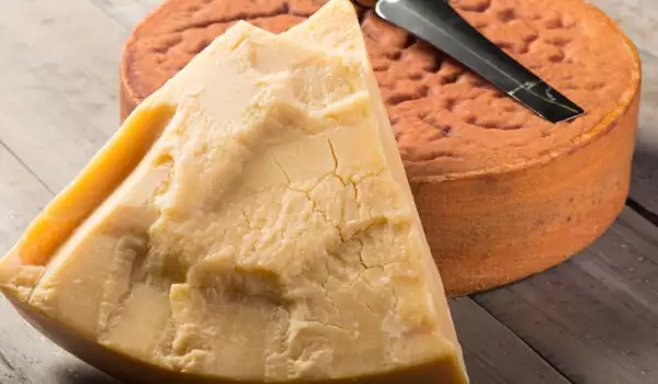 Swiss Cheese Sbrinz