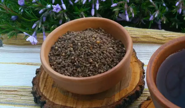 Anise Seed Tea Against Respiratory Diseases