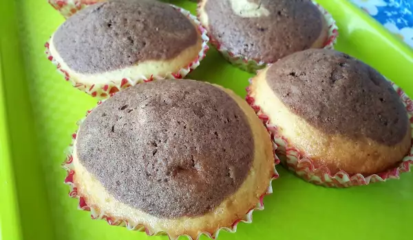 Colorful Muffins with Cocoa