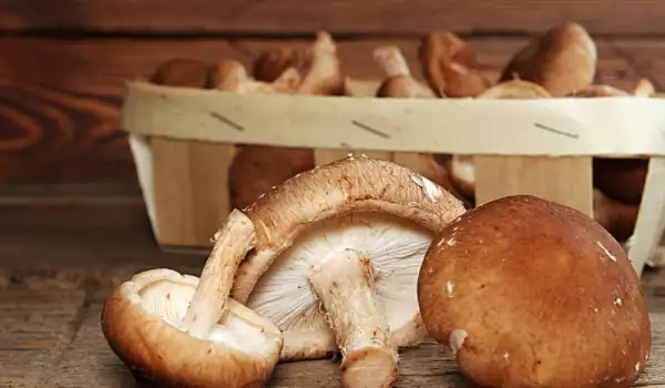 Benefits of shiitake mushrooms