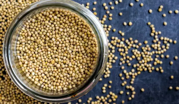 Mustard Seeds - Benefits and Use