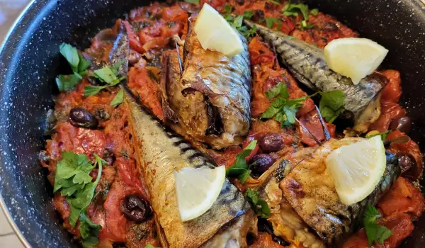 Mackerel with Celery and Tomato Sauce