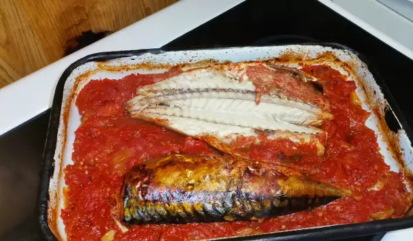Oven-Baked Fish with Tomatoes