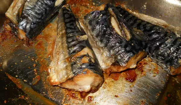 Oven-Baked Mackerel with Olive Oil