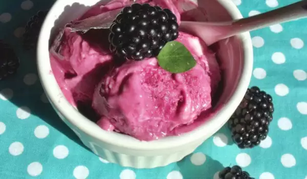 Frozen Yogurt with Blackberries