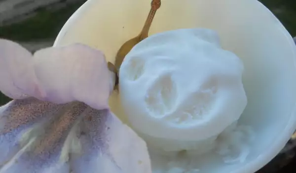 Turkish Vanilla Ice Cream