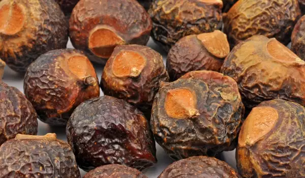 Using Soap Nuts