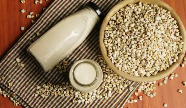 Does Soy Make You Gain Weight?