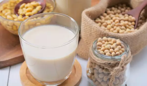 What Does Soy Contain?
