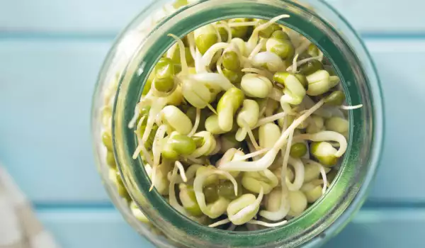 bean sprouts