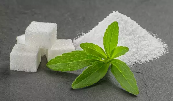 Stevia powder