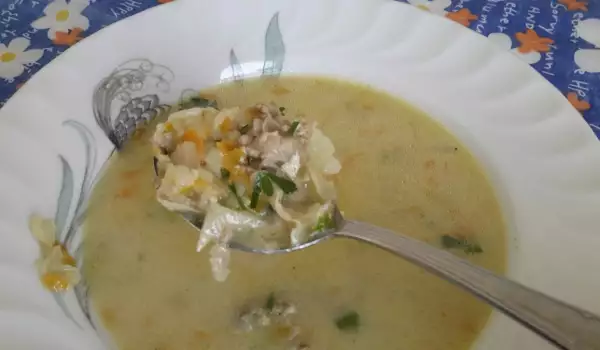 Chicken Soup with Cabbage