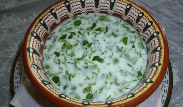 Tarator Soup with Purslane