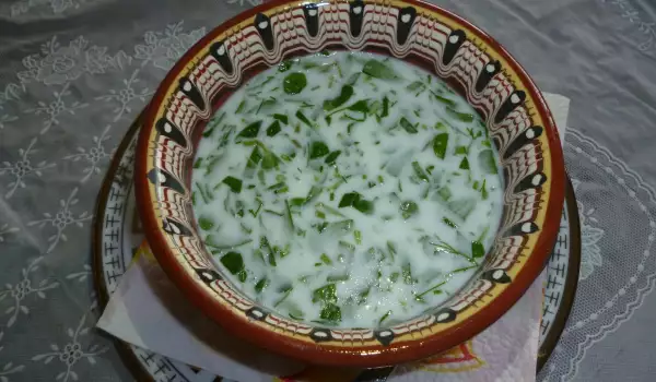 Tarator Soup with Purslane