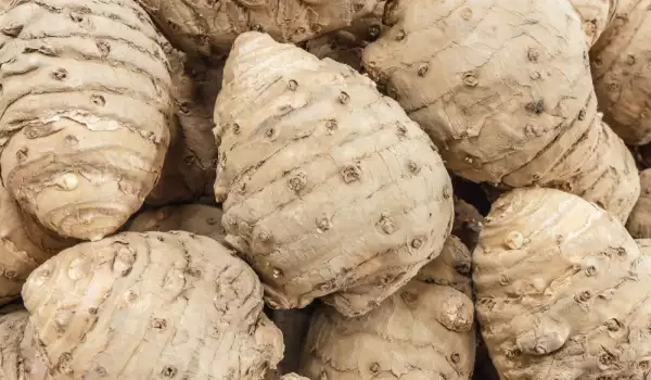 Taro Roots