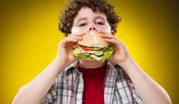 Healthy Nutrition of Children from 7 to 12 Years of Age