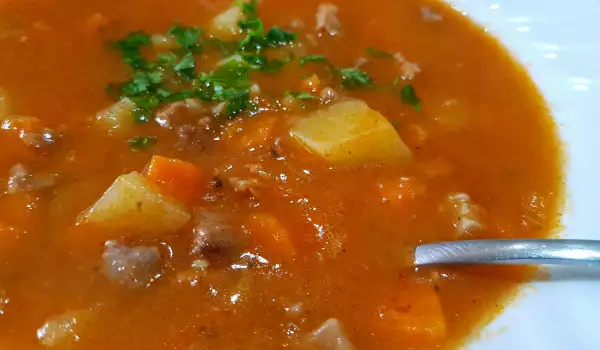 Macedonian Beef Soup