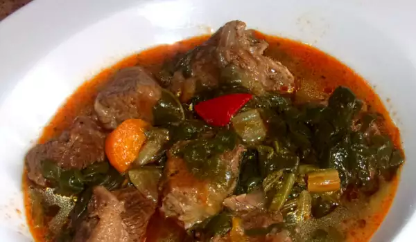 Beef and Spinach Stew