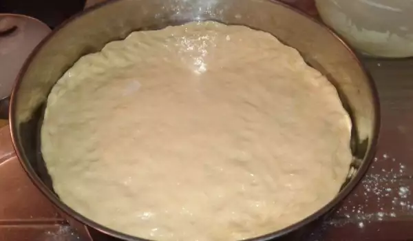 Pizza Dough with Milk and Yeast