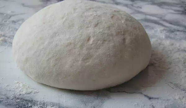 Traditional Pizza Dough