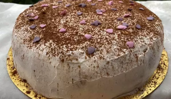 Ladyfinger Cake with Milk Chocolate
