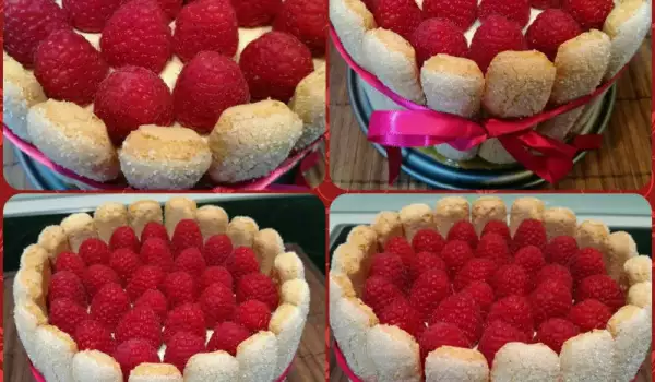 Charlotte Cake with Raspberries
