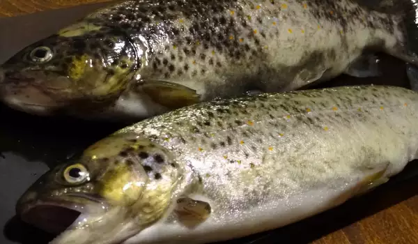 Cooking Rainbow Trout