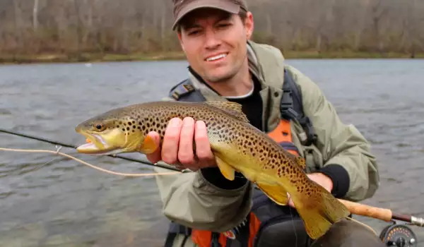 Rainbow Trout Characteristics