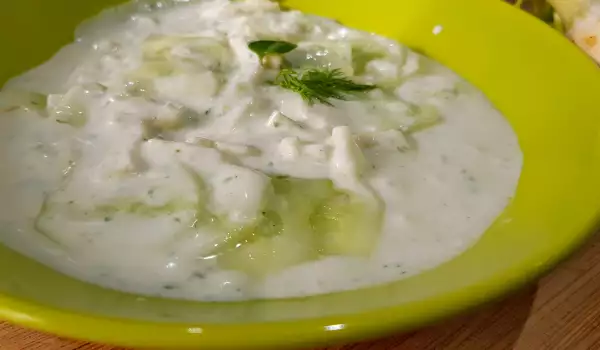 Turkish Yogurt Salad with Fennel