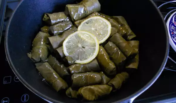 Turkish-Style Meatless Vine Rolls