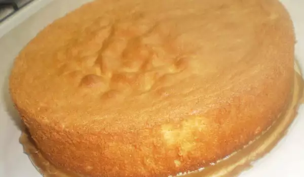 Airy Sponge Cake Layer