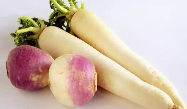 Turnip varieties