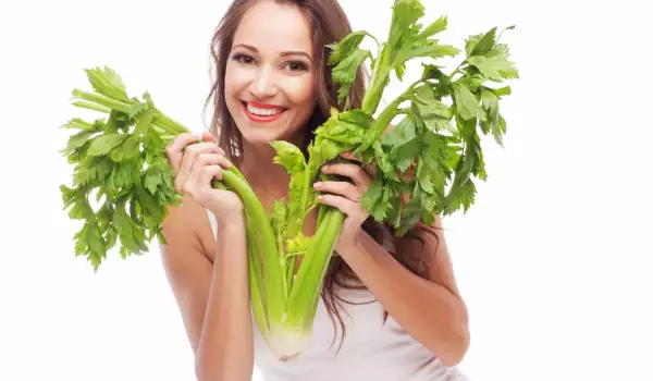 The healing properties of celery