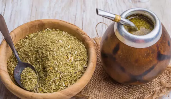 Yerba Mate Benefits