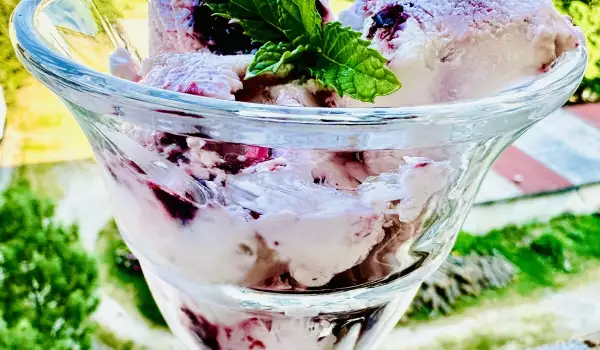 Yogurt Ice Cream with Blueberries and Jam
