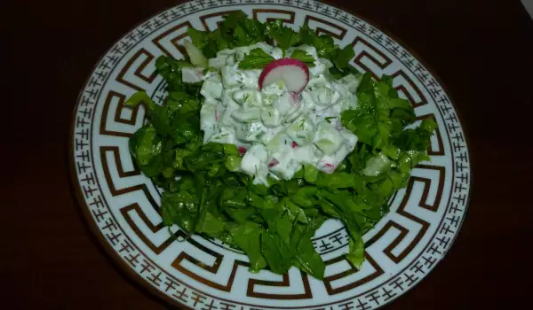 Spring Salad with Yoghurt