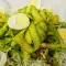 Asparagus Tagliatelle with Quail Eggs