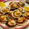 Coquilles Saint-Jacques