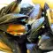 Mussels with White Wine