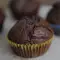 Economical Chocolate Muffins