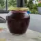 Homemade Plum Jam