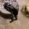 Unique Chocolate Souffle