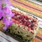 Terrine with Mascarpone and Wild Berries